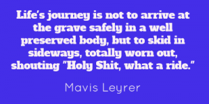 lifes-journey-is-not-to-arrive-at-the-grave-safely-2